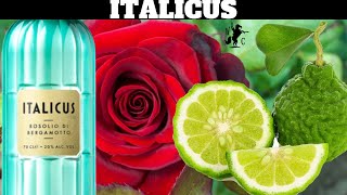 Italicus Rosolio Di Bergamotto Rose Petals amp Citrus Liqueur Review [upl. by Adleme]