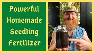 Supercharged Seedling Fertilizer  Boost Vitality And Suppress Disease with Homemade Compost Extract [upl. by Yerdua194]