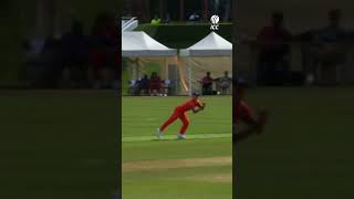 Superb catch by Netherlands seamer Kyle Klein against the USA 💥 cricket cricketshorts ytshorts [upl. by Chlori]