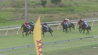 Yeppoon 20241102 Race 1 [upl. by Nitsud]