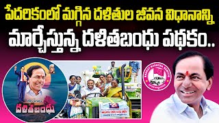 Telangana Dalitha Bandhu Special Story  Dalith Bandhu Scheme  CM KCR  BRS Party  Wall Post [upl. by Ellednahc]