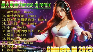 2025 可选择的 🎵 Hokkien DJ Remix Song 2025【闽南语 】👍 Remix 闽南语经典歌曲  经典老歌DJ，怀旧音乐，劲爆车载DJ  百听不厌！ [upl. by Einnep]