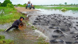 wow Amazing Fishing amp Catch Catfish by Hands in Flooded Season 2024 [upl. by Brechtel81]