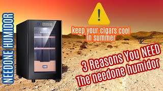 3 Reasons You NEED THIS Humidor [upl. by Yendor]