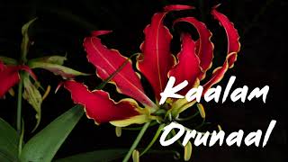 Tamil Eelam Song  Kaalam Orunaal [upl. by Kevyn72]