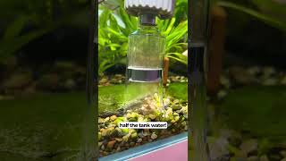 Electric Gravel Cleaner For your Aquarium [upl. by Atiekram]