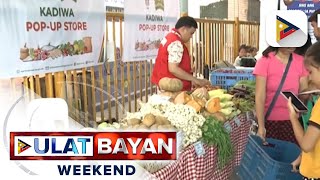 Full implementation ng food stamp program kasado na sa Hulyo [upl. by Eisteb]