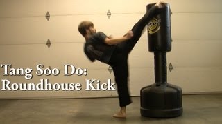 Tang Soo Do Roundhouse Kick Tutorial [upl. by Hudson]