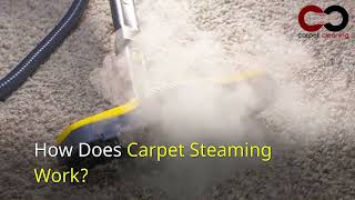 Carpet Shampooing Vs Carpet Hot Water Extraction [upl. by Hortense]