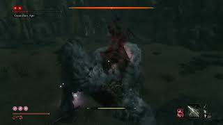 Sekiro  Duo Guardian Ape  Charmless  Demon Bell  No DMG  No Hit  NG7 [upl. by Nibot]