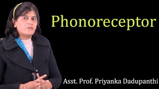 Phonoreceptor by Dr Priyanka Dadupanthi  BSc MSc  Guru Kpo [upl. by Jerz943]