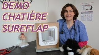 Démonstration de la chatière électronique SureFlap [upl. by Yramanna]