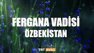 Fergana Vadisi Özbekistan 2 Bölüm [upl. by Romaine408]