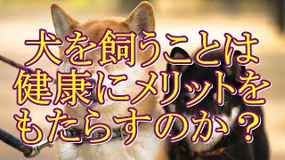 犬を飼うことは飼い主の健康にメリットをもたらすのか？ [upl. by Ennahtur778]