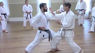 rick hotton sensei  elastic snap Perry Florida [upl. by Yhtomiht]