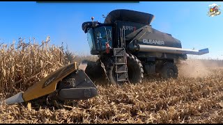 Corn Harvest 2023 with a Stealth Gleaner Super 7 Combine  St Henry Ohio [upl. by Eillak]