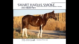 Smart Haidas Smoke [upl. by Etnaled]