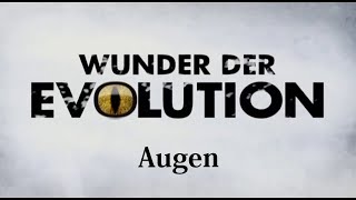 Wunder Evolution Teil 1 Augen History Channel Dokumentation [upl. by Gosnell]