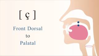 ç  unvoiced dorsal palatal non sibilant fricative [upl. by Avah]