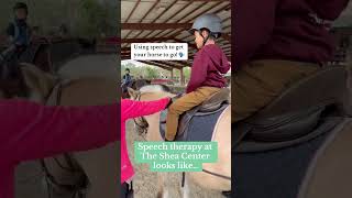 This is what SpeechTherapy using Hippotherapy looks like 🗣️ BetterHearingandSpeechMonth [upl. by Hoo445]