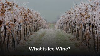 What is Ice Wine [upl. by Dagmar]