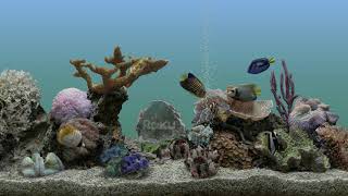 Roku screensaver Aquatic Life [upl. by Dotty]