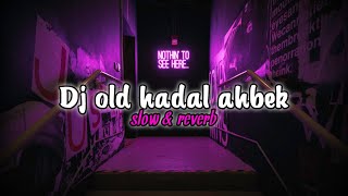 Dj old hadal ahbek  slow amp reverb [upl. by Akilak]