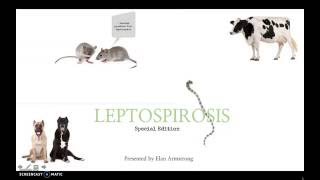 LeptospirosisSeminar Presentation [upl. by Naji]