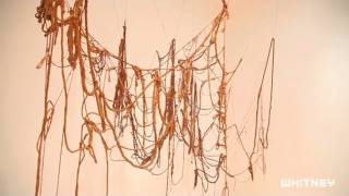 Singular Visions Eva Hesse No Title 1970 [upl. by Nowyt]