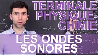 Les ondes sonores  PhysiqueChimie  Terminale  Les Bons Profs [upl. by Alram]