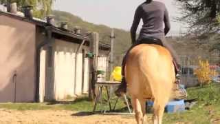 Reiten mit Skoliose [upl. by Etterb]