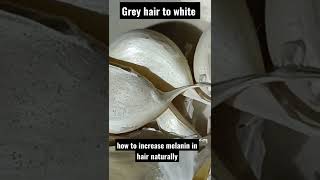 how to increase melanin in hair naturally food grey colour to white hair youtubeshorts food [upl. by Aimal]