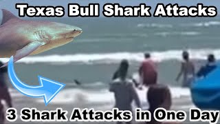 3 Texas Shark Attacks in One Day Bull Shark 2024 Padre Island Tabitha Sullivant [upl. by Franciskus]