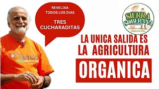 Agricultura Orgánica Desafío Rebelde y Solidario [upl. by Asim]