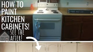 TUTORIAL How to paint Kitchen Cabinets  Valspar Cabinet Enamel Review  DIY Kitchen Makeover [upl. by Merwyn248]