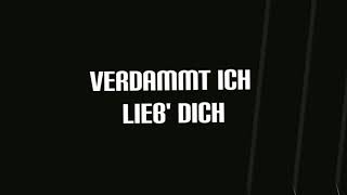 MIKE SINGER  VERDAMMT ICH LIEB DICH LYRICS VIDEO [upl. by Negriv]