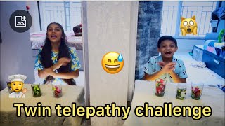 Twin Telepathy challenge  crazy Family 🔥🤗♥️ [upl. by Ahcsat]