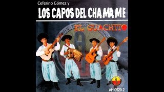 LOS CAPOS DEL CHAMAME 2008 CD COMPLETO El Guachito [upl. by Opiak]