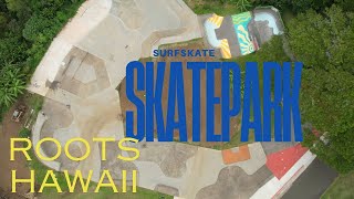 Roots Skatepark on a surfskate Big Island  Hawaii [upl. by Ernaline]