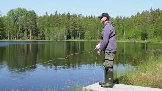 Regnbågs fiske i Lysegöl [upl. by Angadreme]