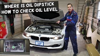 BMW WHERE IS OIL DIPSTICK HOW TO CHECK OIL LEVEL F30 F31 F32 F33 F36 F34 320i 328i 420i 428i [upl. by Ymac]