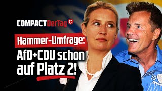 HammerUmfrage AfDCDU schon auf Platz 2💥 [upl. by Rabin714]