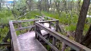 Millennium Trail in Warkworth  Northumberland County Ontario [upl. by Eilarol]