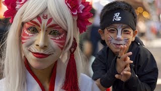 Japanss SUPERNATURAL CAT Festival  BakeNeko  化け猫フェスティバル [upl. by Ikin205]