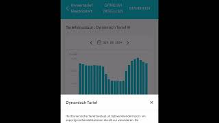 Enphase Zonnepanelen uitschakelen bij negatieve stroomprijs [upl. by Earb]