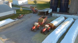 Triticale Harvest  Filling Silo amp Ag Bags [upl. by Auguste]