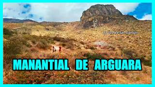 El MANANTIAL de ARGUARA 👍 [upl. by Nesnah]