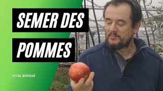 Ma technique INRATABLE pour semer des pommiers [upl. by Spitzer]