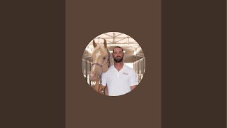 Sport Horse Chiropractic Dr Mike Adney is live [upl. by Bennink]