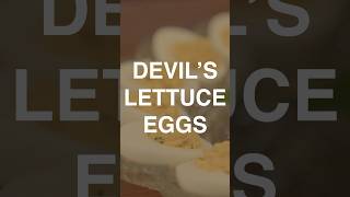 Devil’s Lettuce Eggs for The Edibles Club [upl. by Maje458]